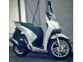 sh-honda-robo-125-i-skata