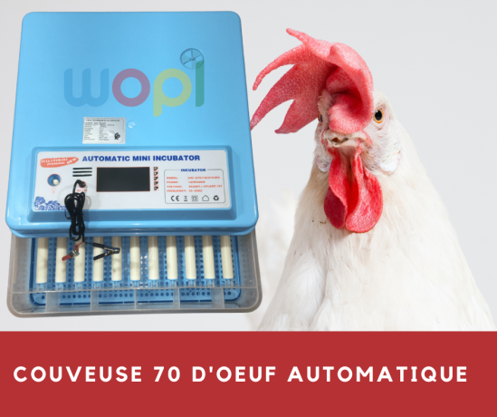 incubateur-automatique-dune-capacite-70-oeufs-big-0