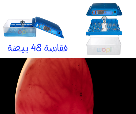 couveuse-automatique-de-48-oeufs-big-0