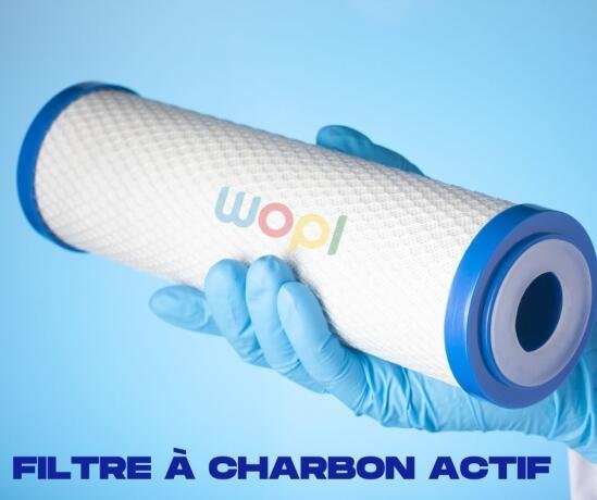 filtre-a-charbon-actif-pour-osmoseur-domestique-big-0