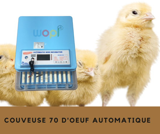 couveuse-automatique-pour-70-oeufs-big-0