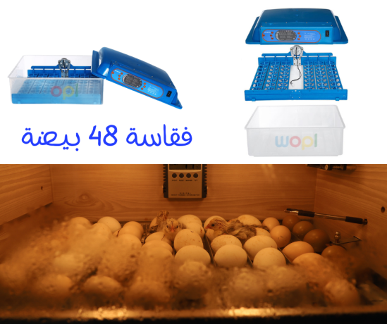 couveuse-48-automatique-pour-les-oeufs-big-0