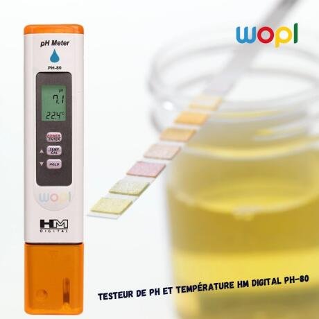 mesures-de-ph-et-de-temperature-ph-80-big-0