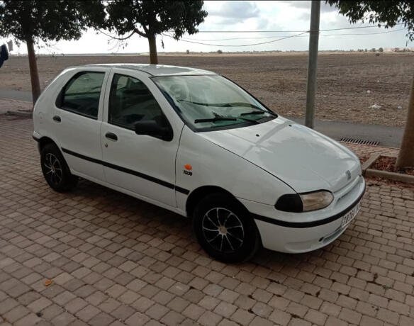 fiat-palio-big-0