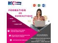 formation-professionnel-small-2