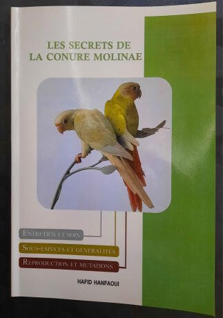 les-secrets-de-la-conure-molinae-big-0