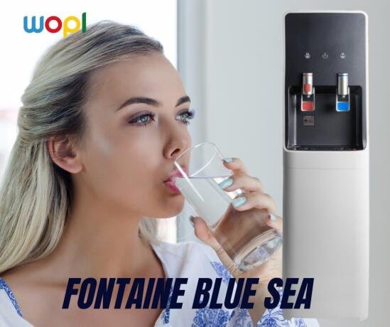 fontaines-a-eau-chez-wopl-big-0