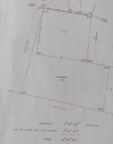 terrain-13-hectares-economique-bouskoura-big-0