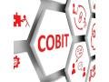 formation-cobit