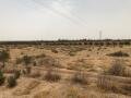 ferme-a-vendre-a-25-km-de-marrakech