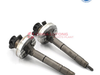 Diesel Fuel Injector [***]