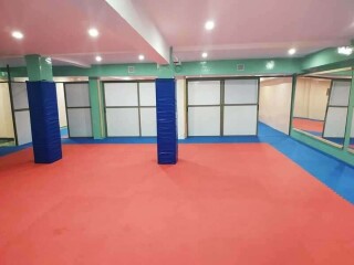 Recherche de Coach de Boxe/MMA