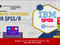 formation-spss-maitrisez-lanalyse-statistique-et-les-traitements-de-donnees