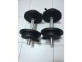 kit-haltere-musculation-10-kg-chacun